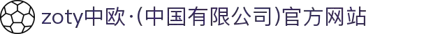 zoty中欧·(中国有限公司)官方网站